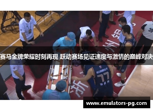 赛马金牌荣耀时刻再现 跃动赛场见证速度与激情的巅峰对决